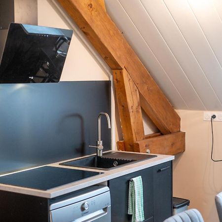 Appartement Balneo-Detente Sainte-Helene-du-Lac المظهر الخارجي الصورة
